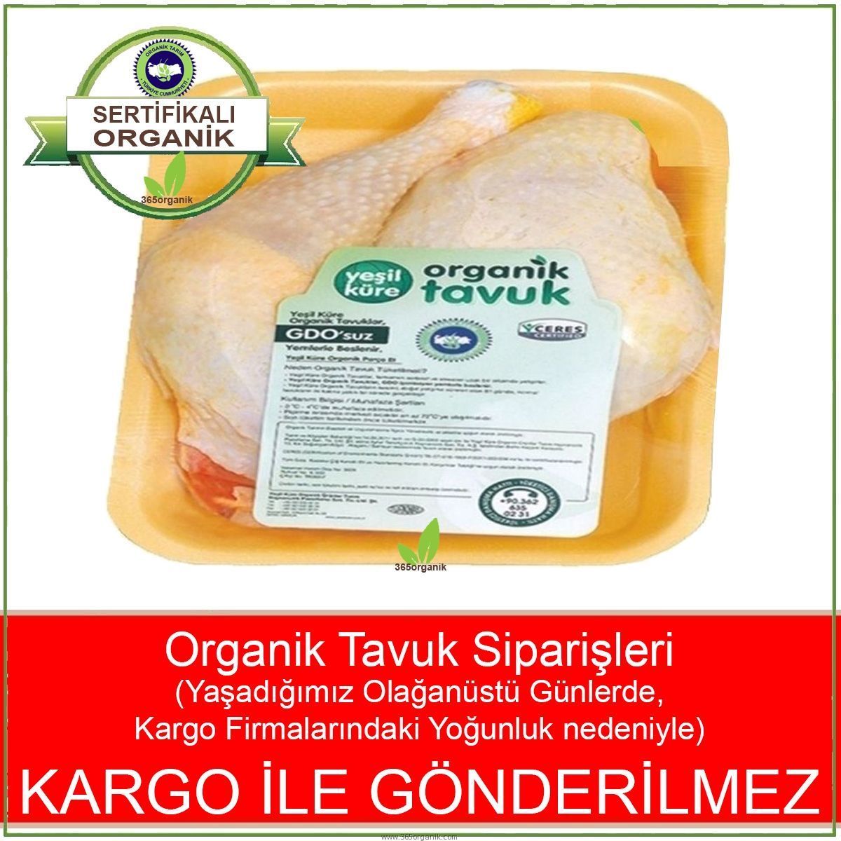 tavuk but kaçtl